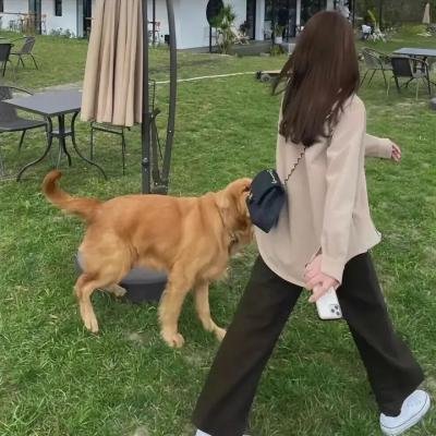 钢铁的城
